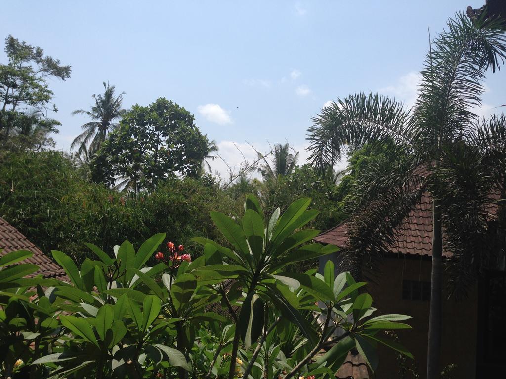 Ubud Rooms B&B Rum bild