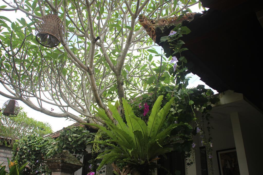 Ubud Rooms B&B Exteriör bild